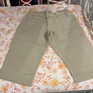 Coldwater Creek Natural Fit Beige Pants